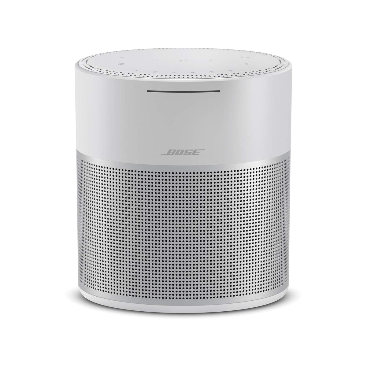 BOSE HOMESPEAKER 300