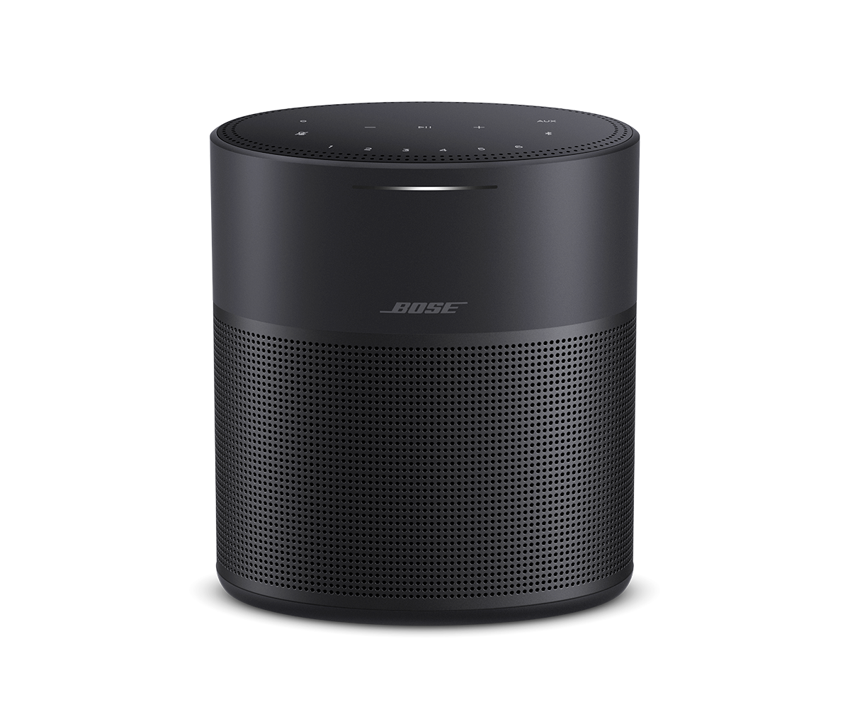 BOSE HOMESPEAKER 300